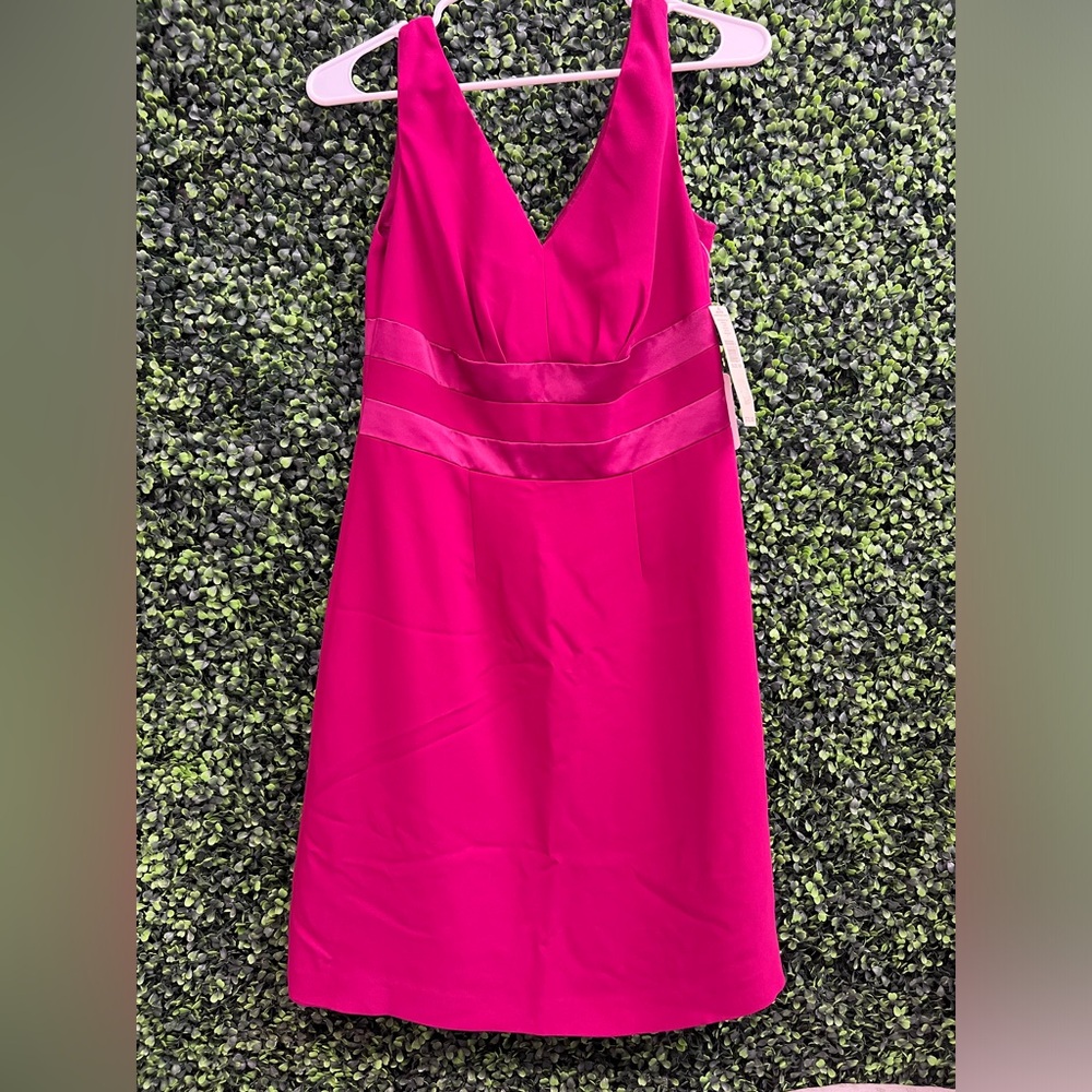 NWT Amanda Smith Petite Fushia Dress